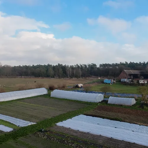 Drohnenaufnahme unseres Hausgartens